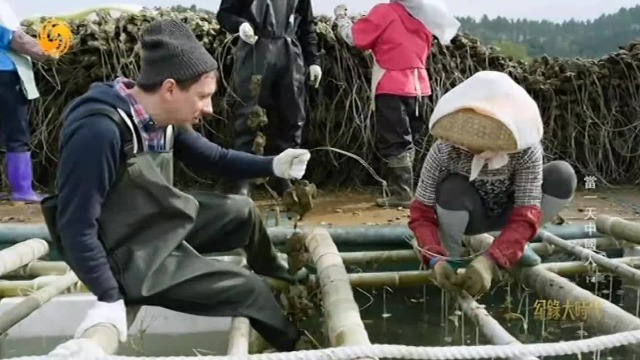生蚝是如何养殖的？法国小伙在中国体验蚝民的一天