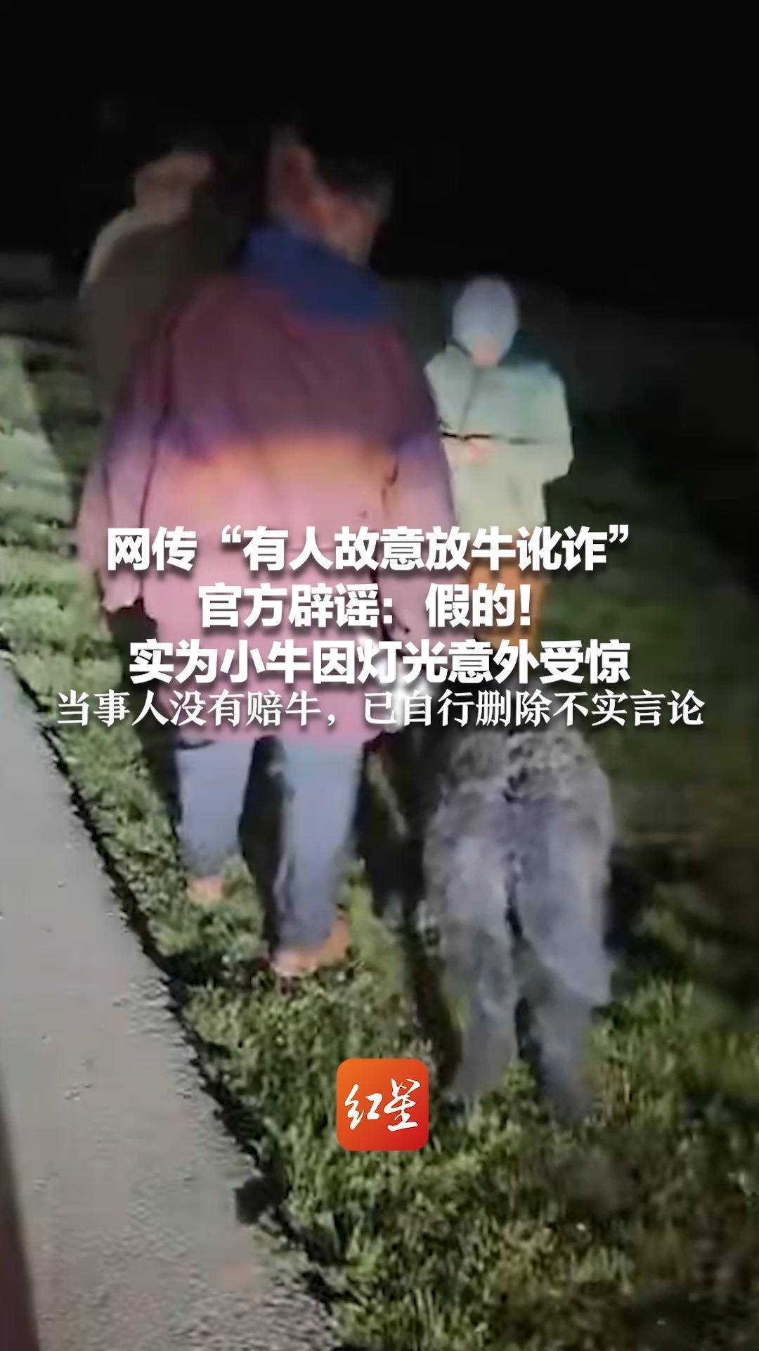 网传“有人故意放牛讹诈”官方辟谣：假的！实为小牛因灯光意外受惊 当事人没有赔牛，已自行删除不实言论