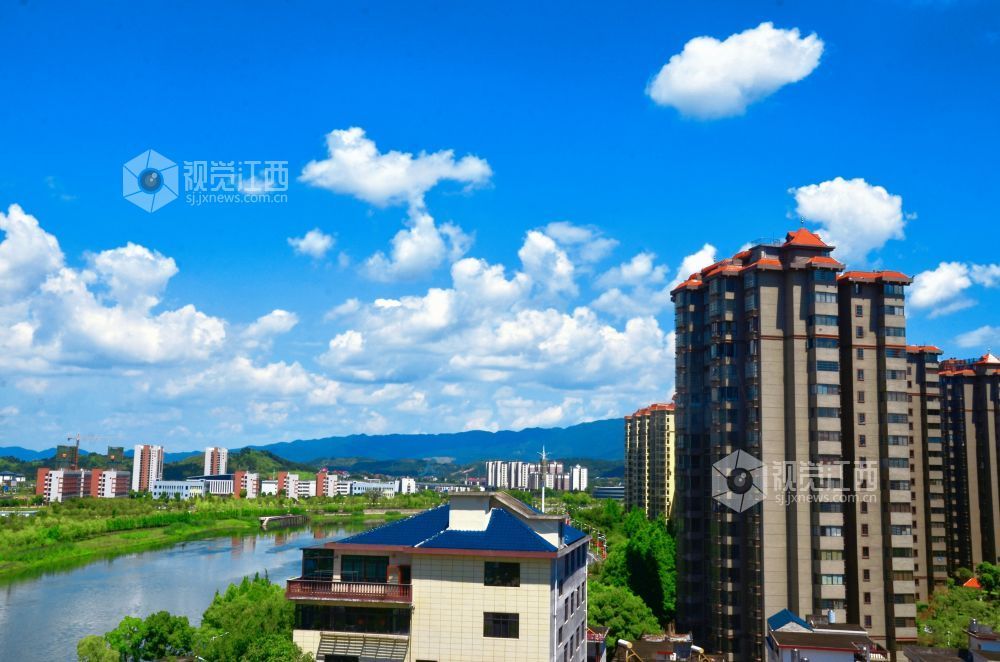 7月24日,江西省永新县迎来了一个碧空如洗的好天气,湛蓝色的天幕上,棉花糖般的云朵肆意舒展。