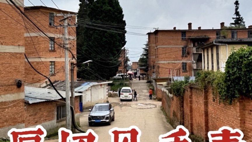 云南红河大山里吃野生菌，见手青310元一斤，厚切油爆太生猛