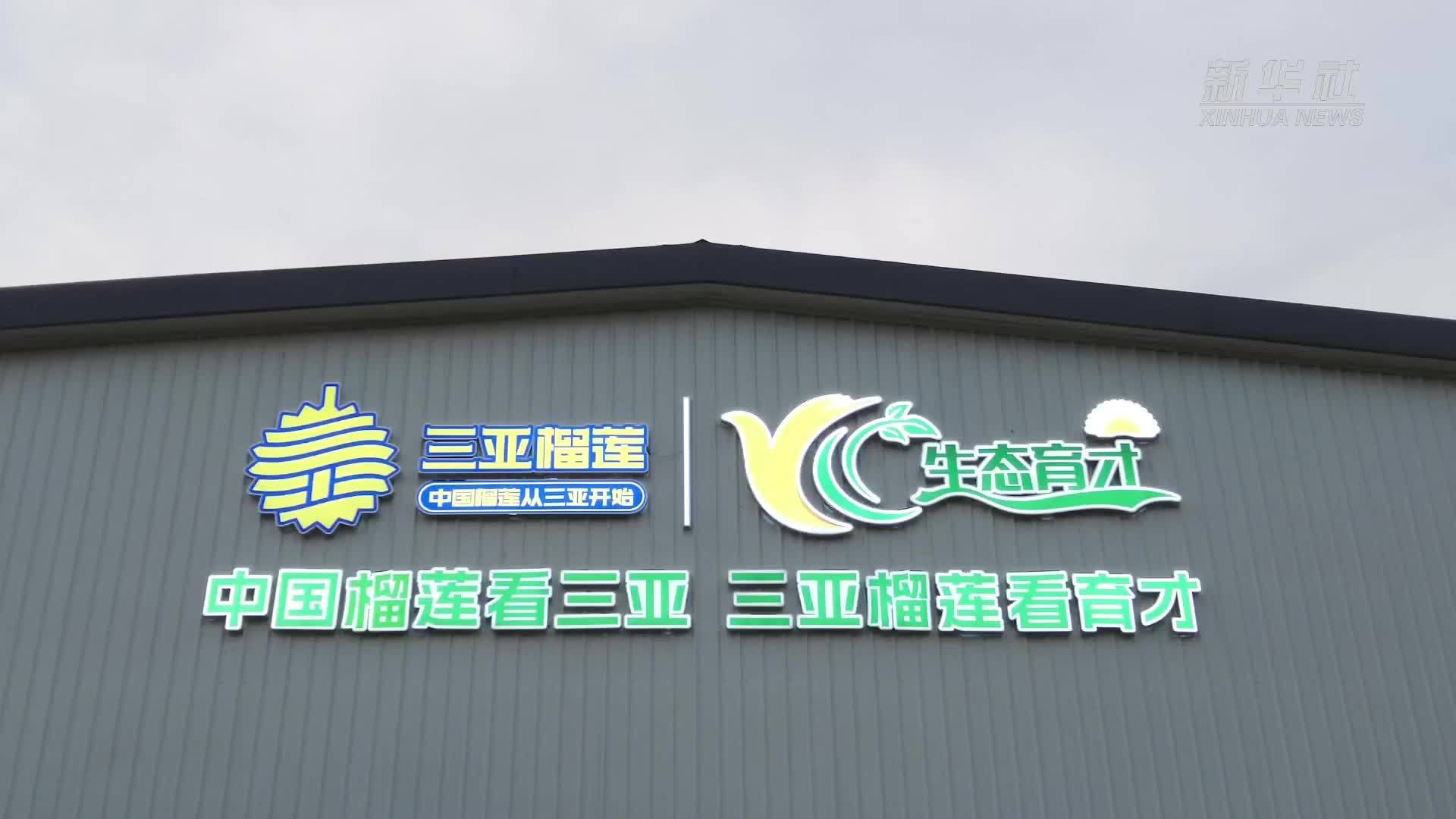 给榴莲“做CT”，这条榴莲智能分选生产线很神奇