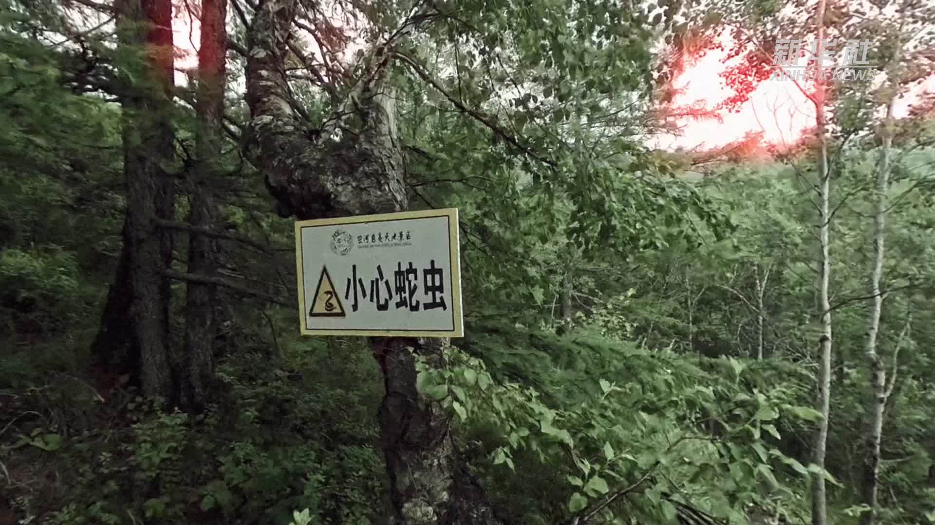 山中一日“暑”你有趣