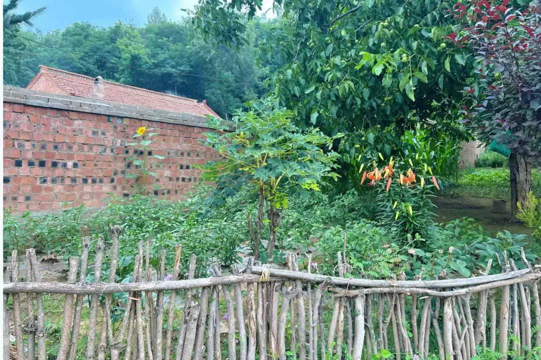 一年四季时鲜供应不断　华亭庭院经济有看头更有赚头