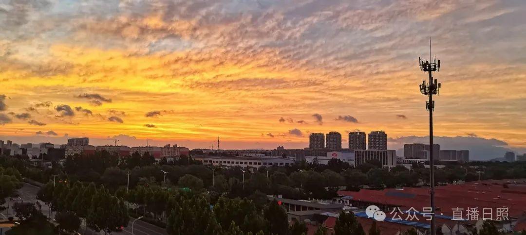 刷屏！日照，红了！