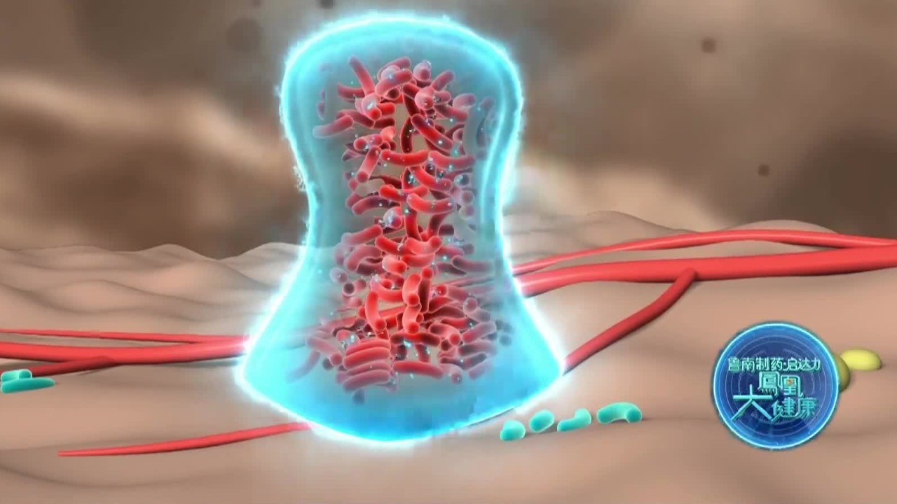 为了不被抗生素杀死，细菌竟然会“战术合作”，它们进化出意识了？