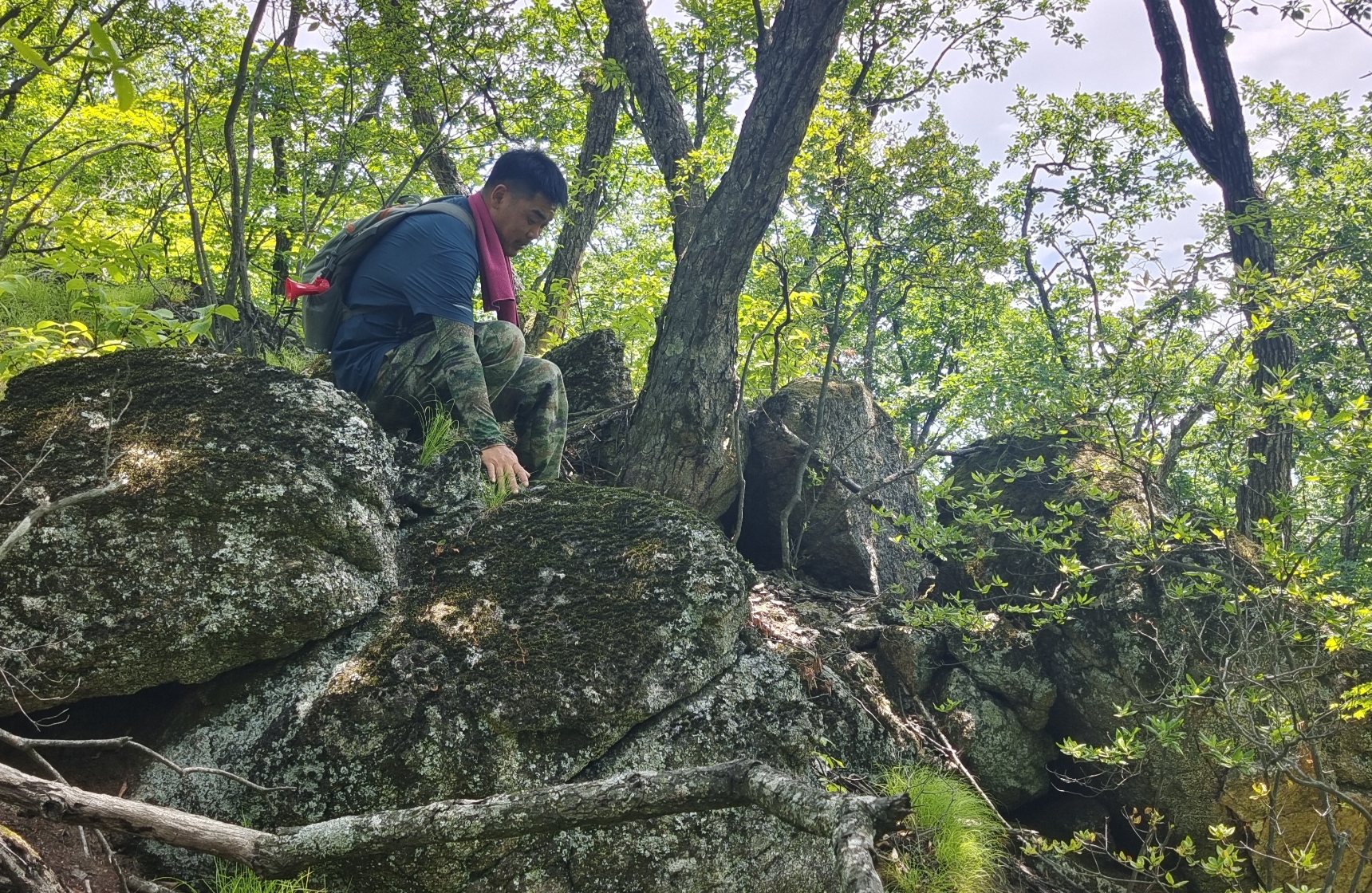延边州深化林长制改革 激活北方生态屏障建设新动能