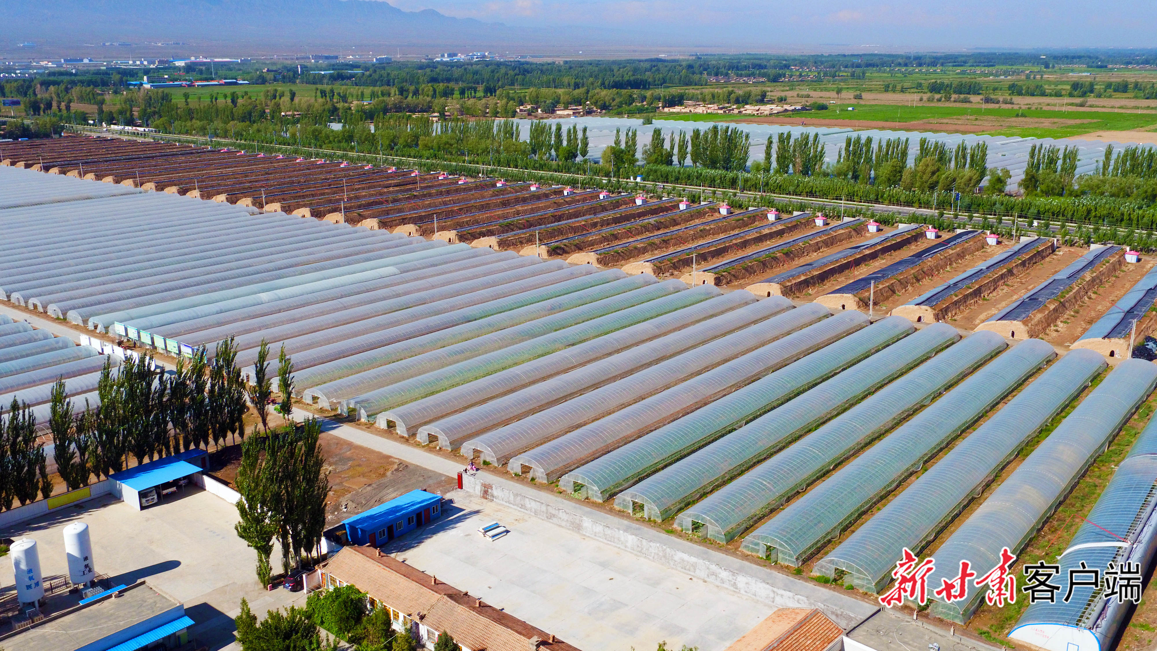 高台县现代农业产业园　图片由高台县委宣传部提供