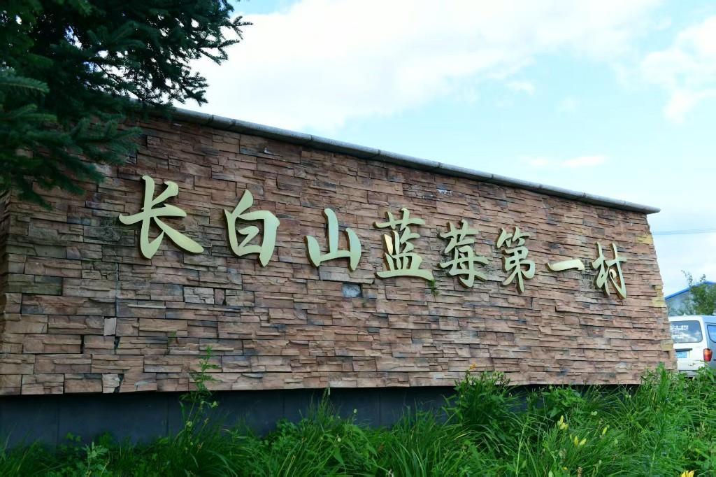 （发展蓝莓已成为三道湖镇的支柱产业 刘一正/摄）