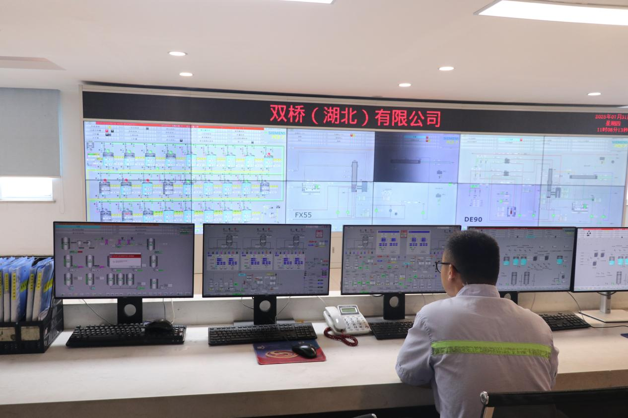 延链强链 双桥赋能孝感汉川“甜蜜产业”