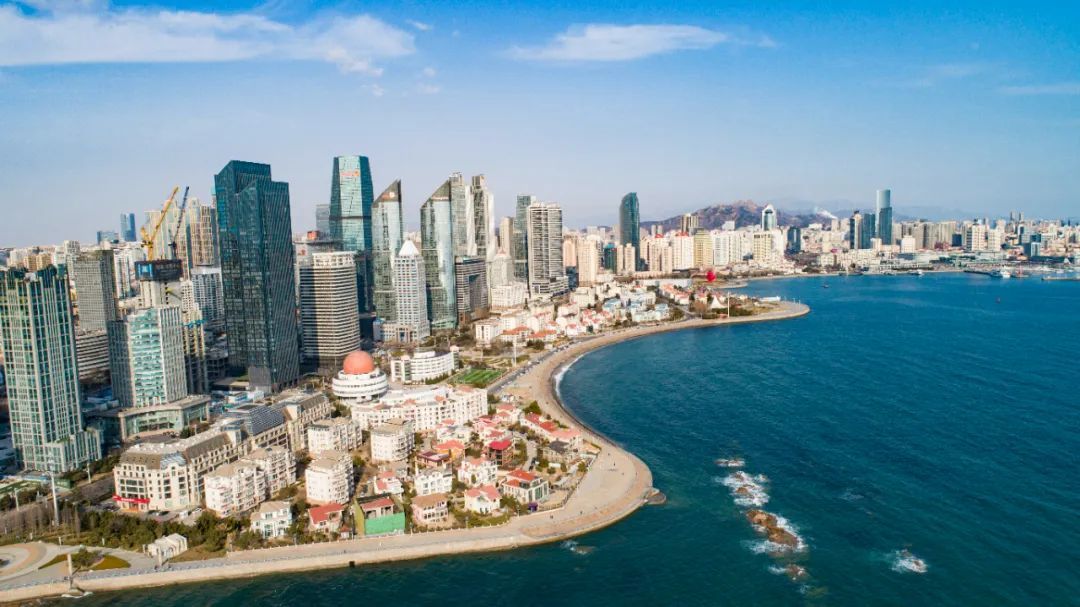 “独角兽”担青岛“链主”，为何是清原作物？