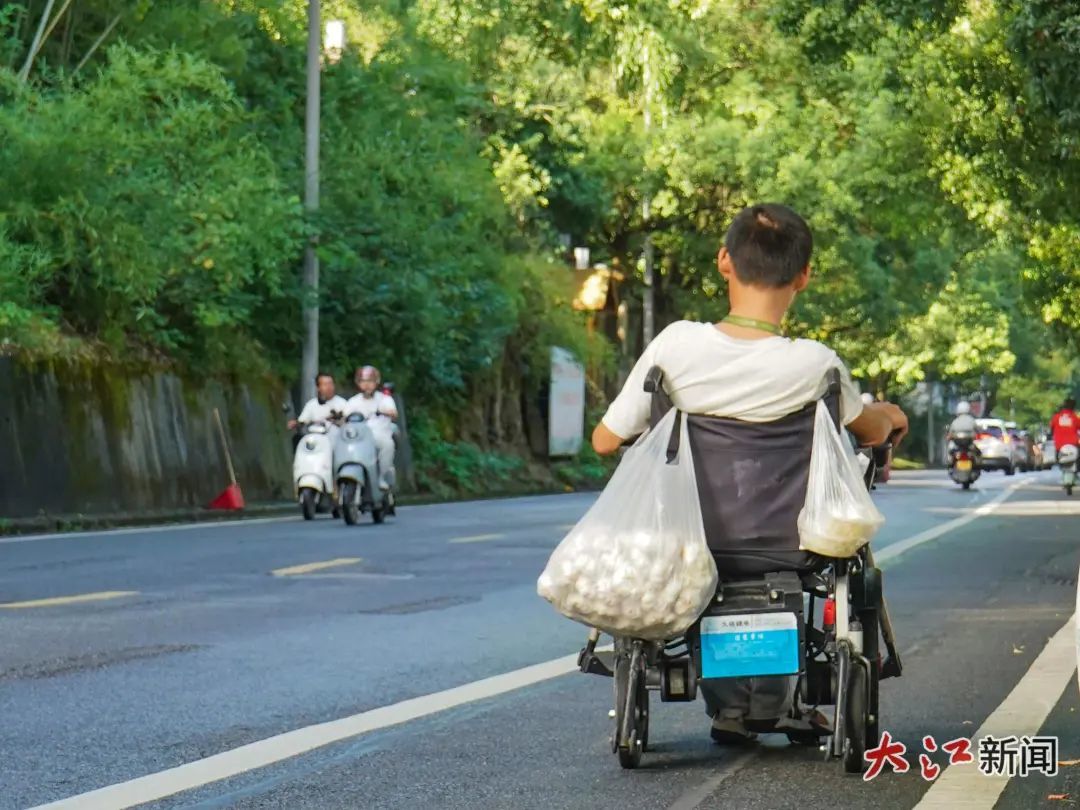 骑行在路上的小龙