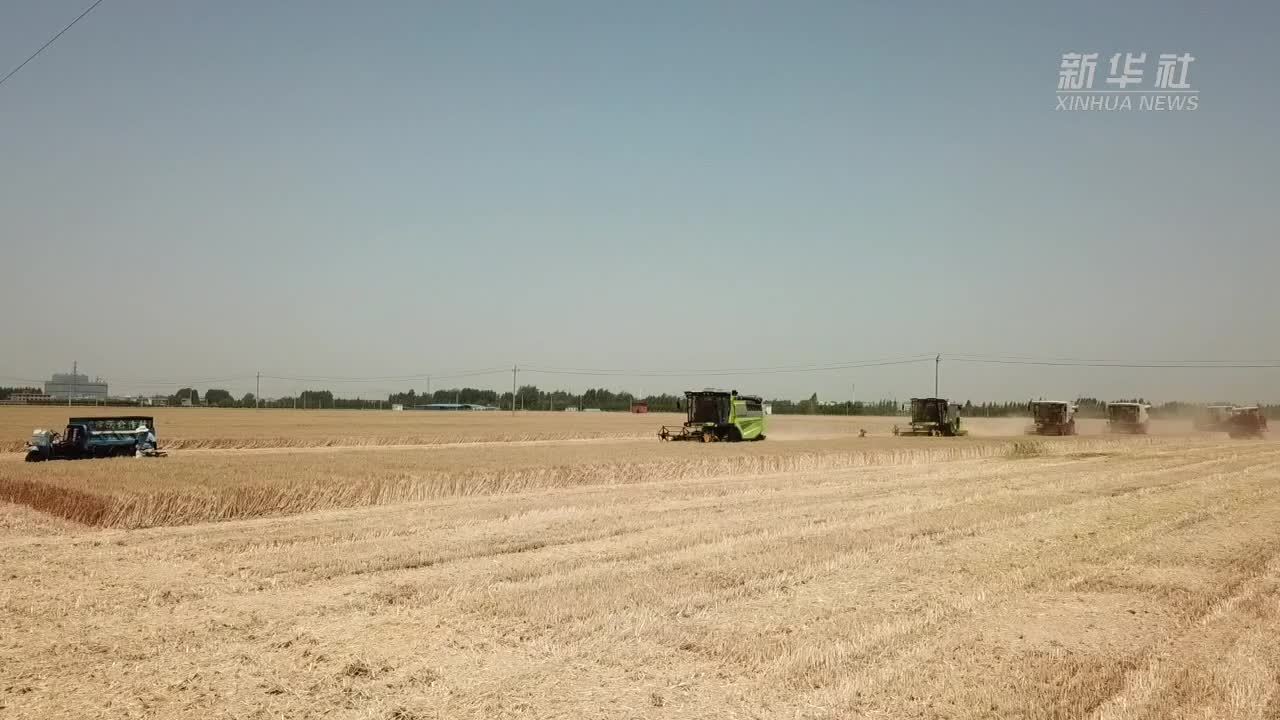 挖潜“无形粮田”——山东全链条节粮减损观察