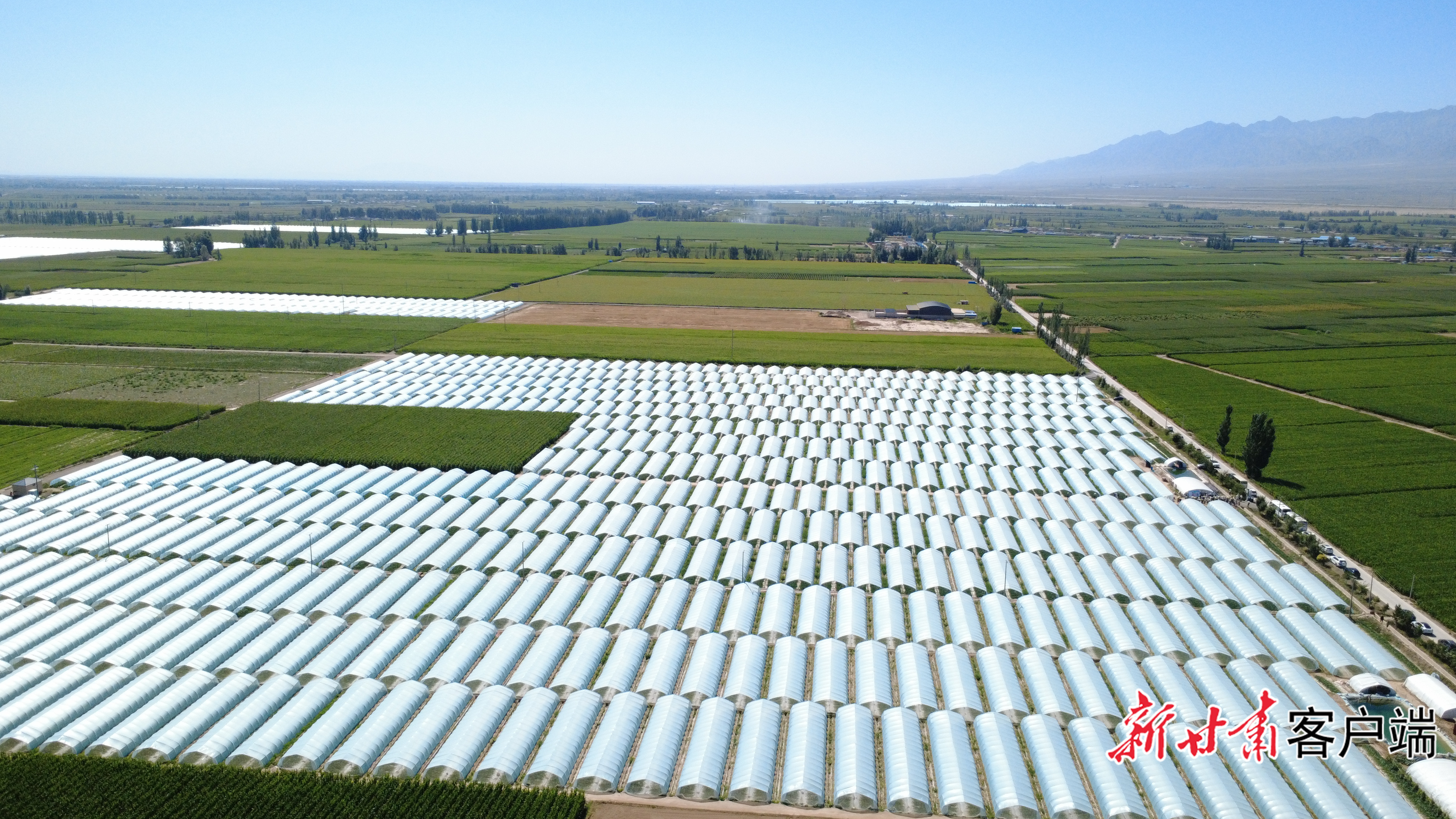 高台县万亩设施西瓜标准化示范基地　图由新甘肃&middot;甘肃日报记者冯宝强摄