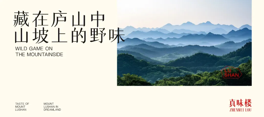 标题字(从上至下):字魂不虚此行体、字魂书雅宋、字魂檀宋