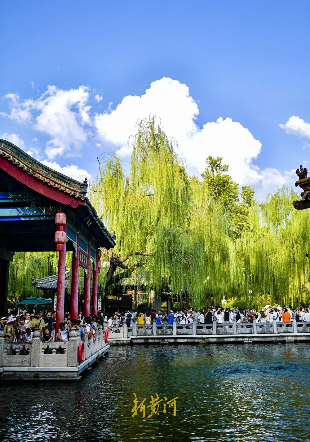 当蓝天白云映入趵突泉，一场梦幻邂逅浪漫上演