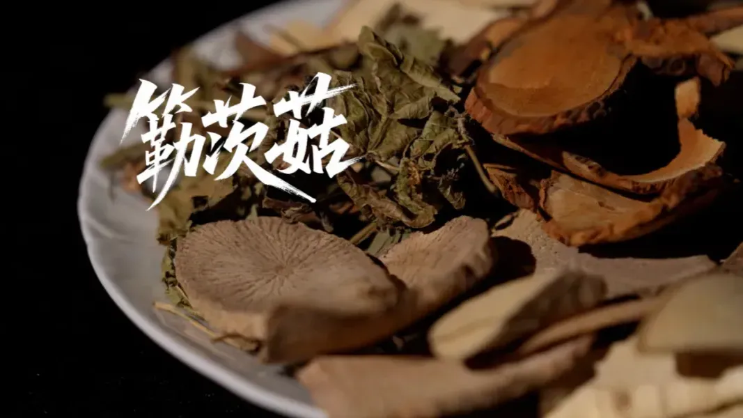 依古法炮制“解毒大王”“簕茨菇”，这是祖辈传下的顺应天时之道