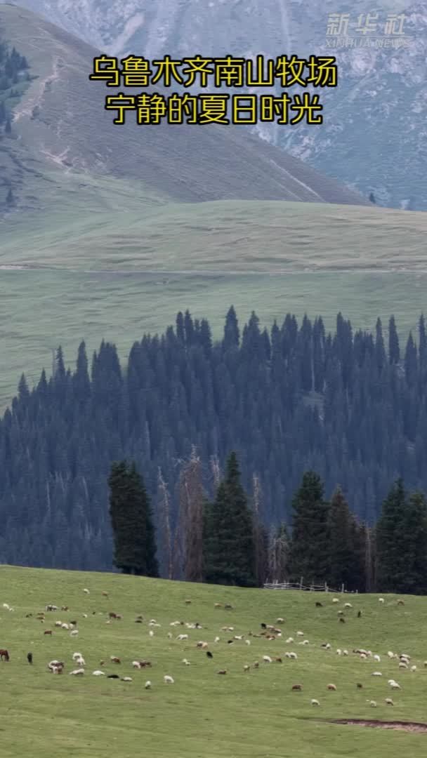 乌鲁木齐南山牧场：宁静的夏日时光
