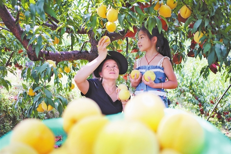 夏日丰收（图）