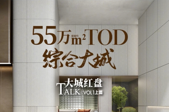 塘城NEXT TOWN|大城红盘 TALK VOL1上篇