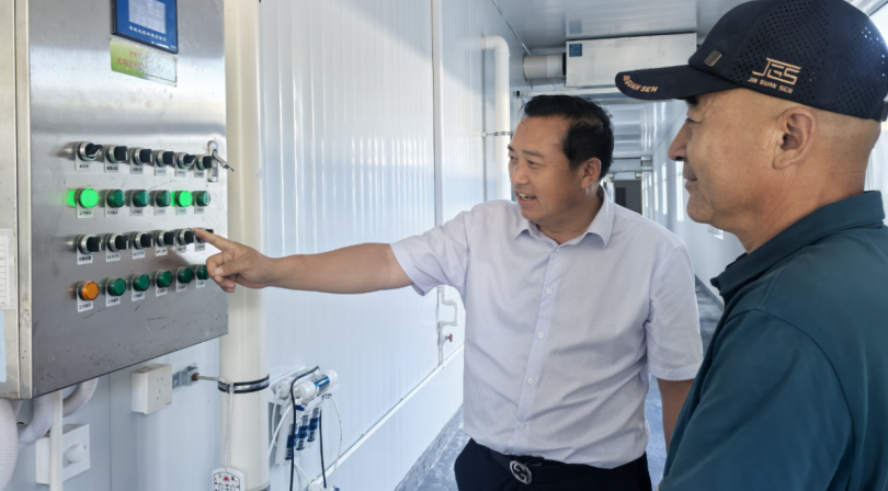 睢宁：桑田变锦绣 蚕“吐”新丝路