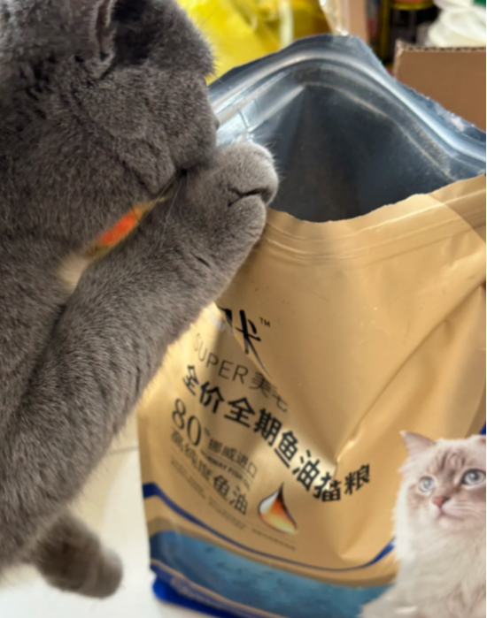 点击查看原始图片