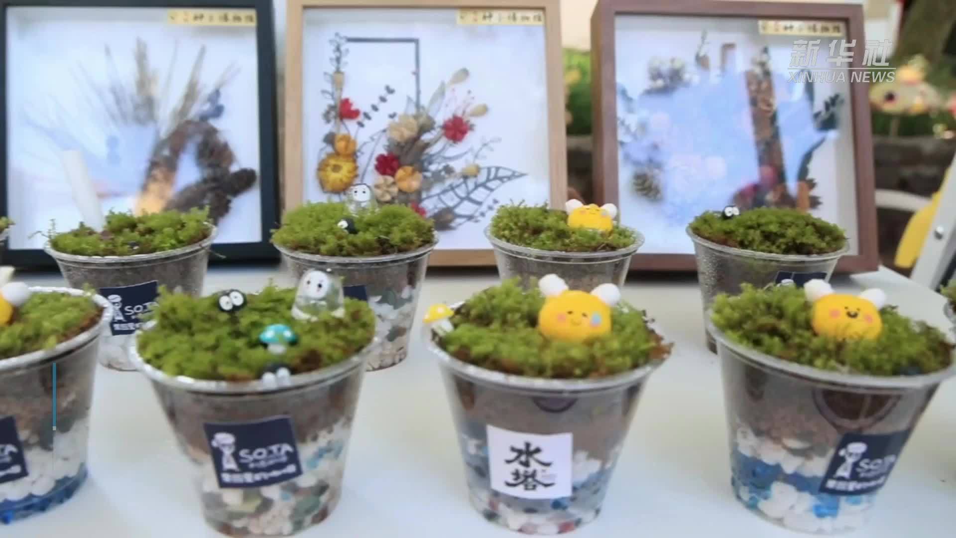 魅力山乡丨海南定安：乡咖飘香激活文旅动能