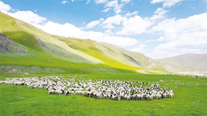 牧旅融合破圈生长 阿克塞产业振兴“马”不停蹄