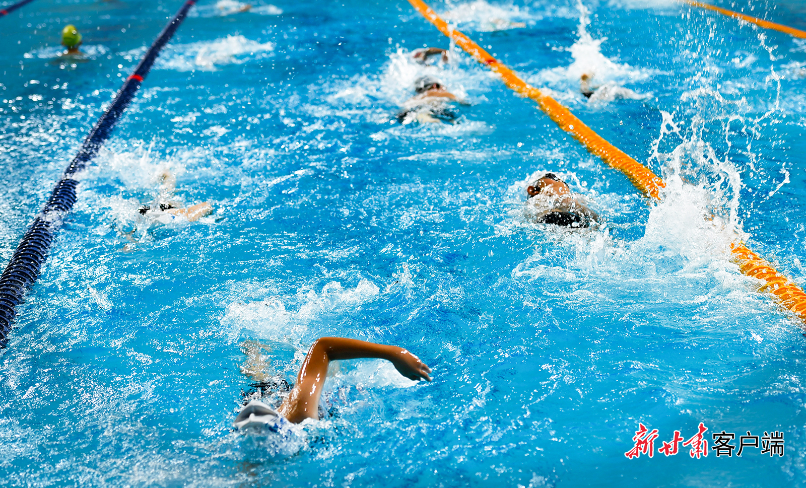 兰州：暑期“泳”士们的快乐主场