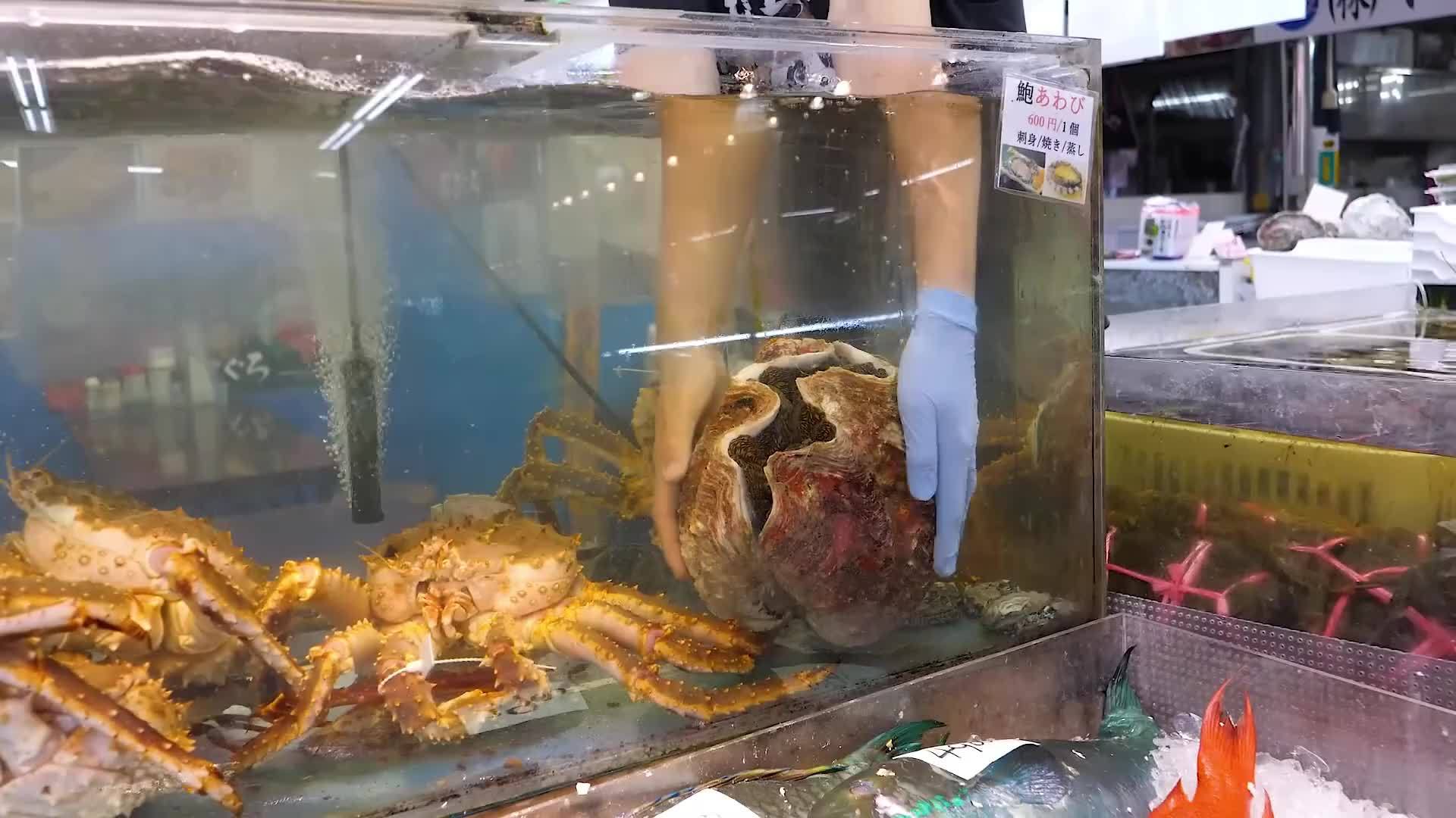 日本大厨切剖20斤重巨型砗磲做美食，里面原来是这种构造