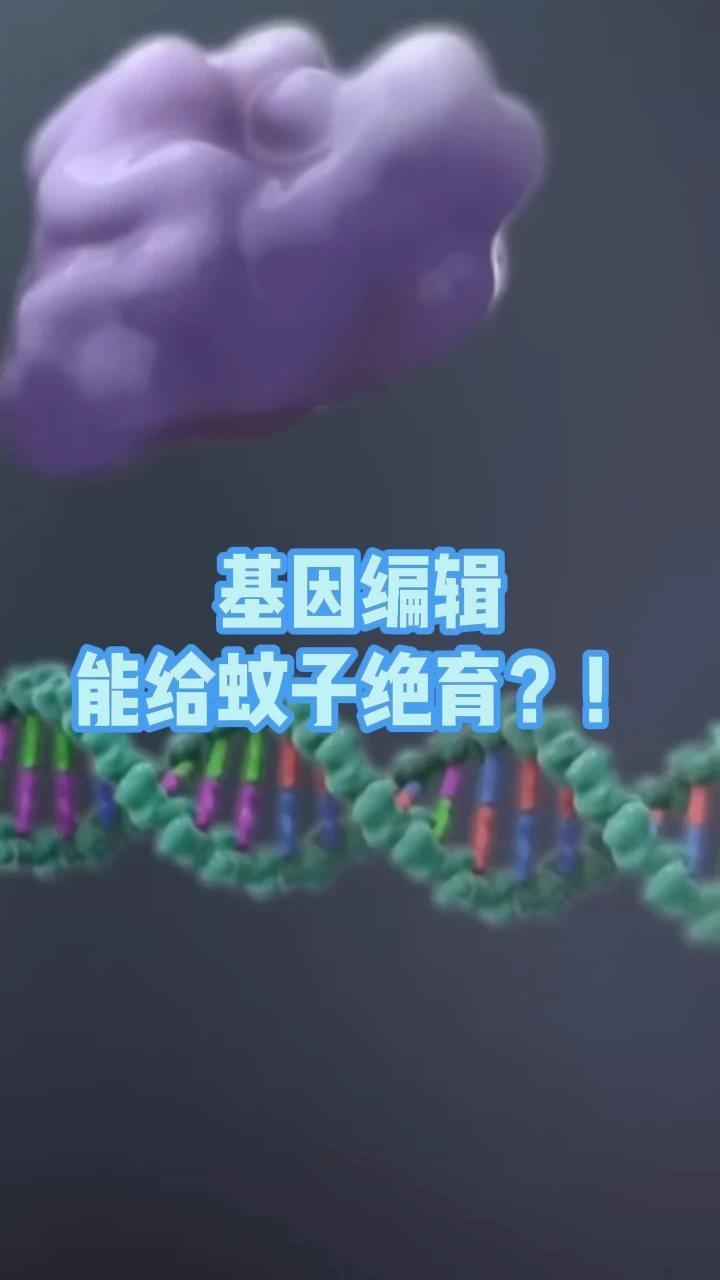 基因编辑，能给蚊子绝育！#基孔肯雅热