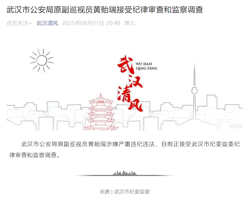 湖北两人被查