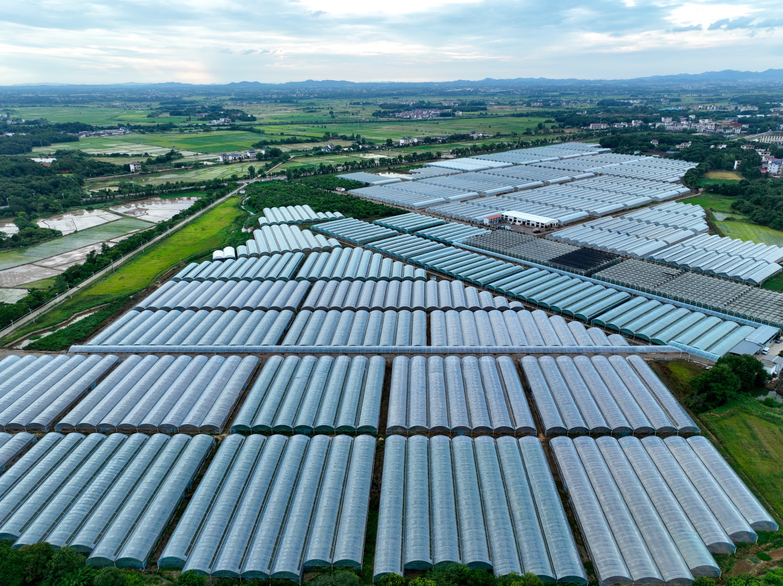 一个个设施农业大棚与周边的田园,民居相互映衬,构成一幅美丽画卷