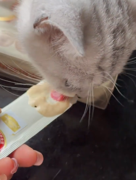 点击查看原始图片