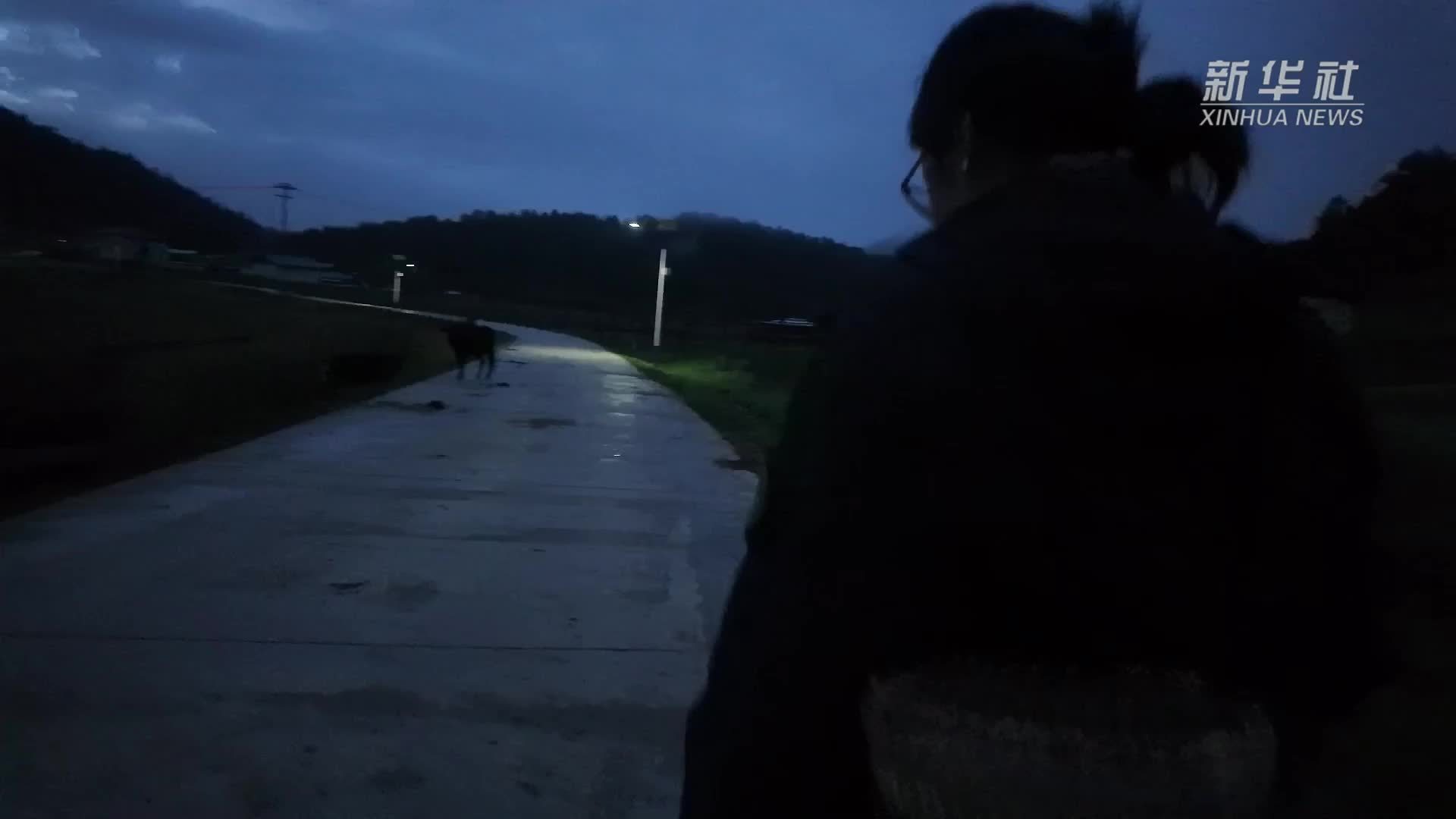 新“松茸猎人”春批