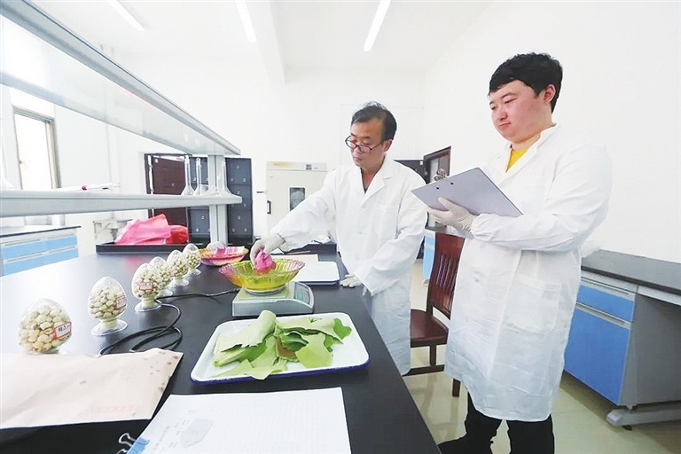 广昌县白莲研究所工作人员在对太空莲系列品种进行科研。曾恒贵摄