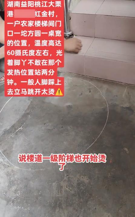 视频截图.png