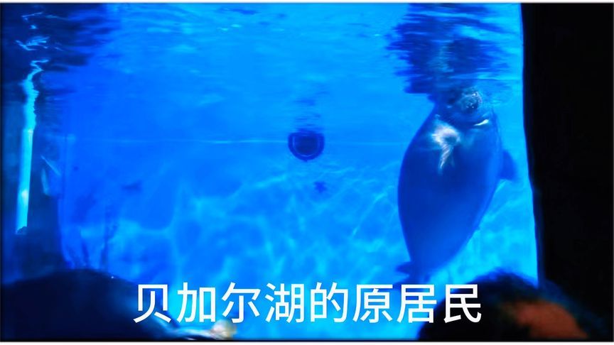 贝加尔湖的原居民