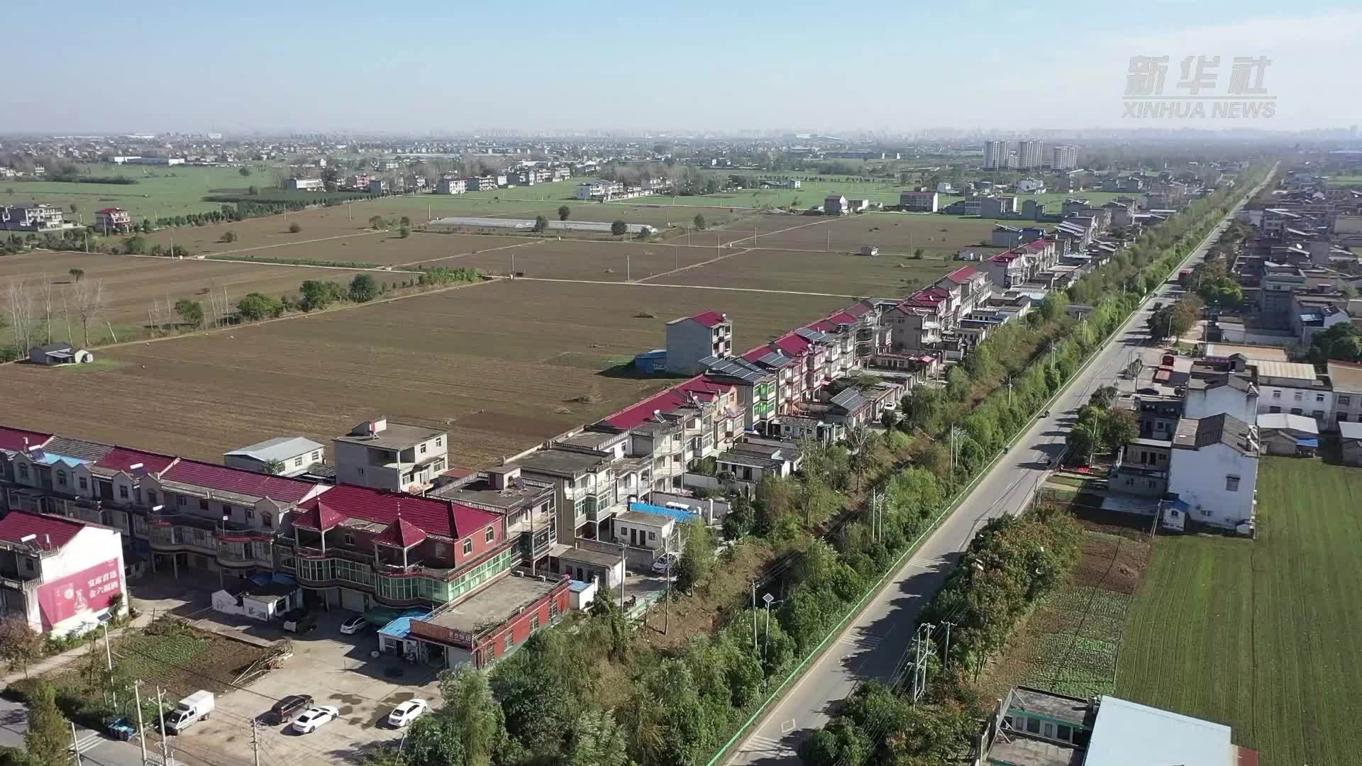 安徽阜阳：小小网格员 织就邻里和睦“网”