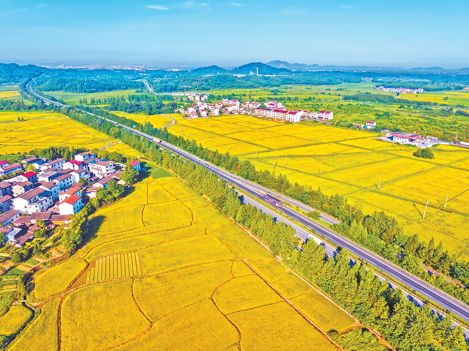 抚州金溪：路畅景美（图）