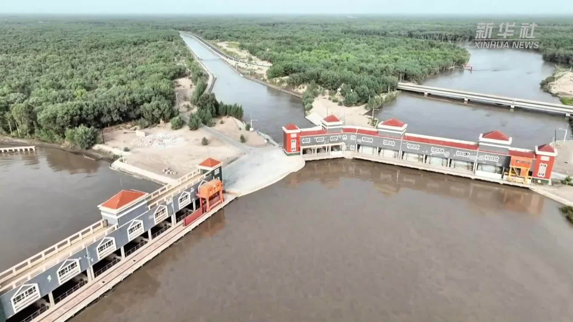 新疆巴楚：引洪灌溉沙漠边缘原始胡杨林