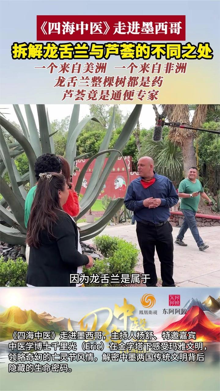 四海中医走进墨西哥 专家带你拆解龙舌兰与芦荟的不同之处