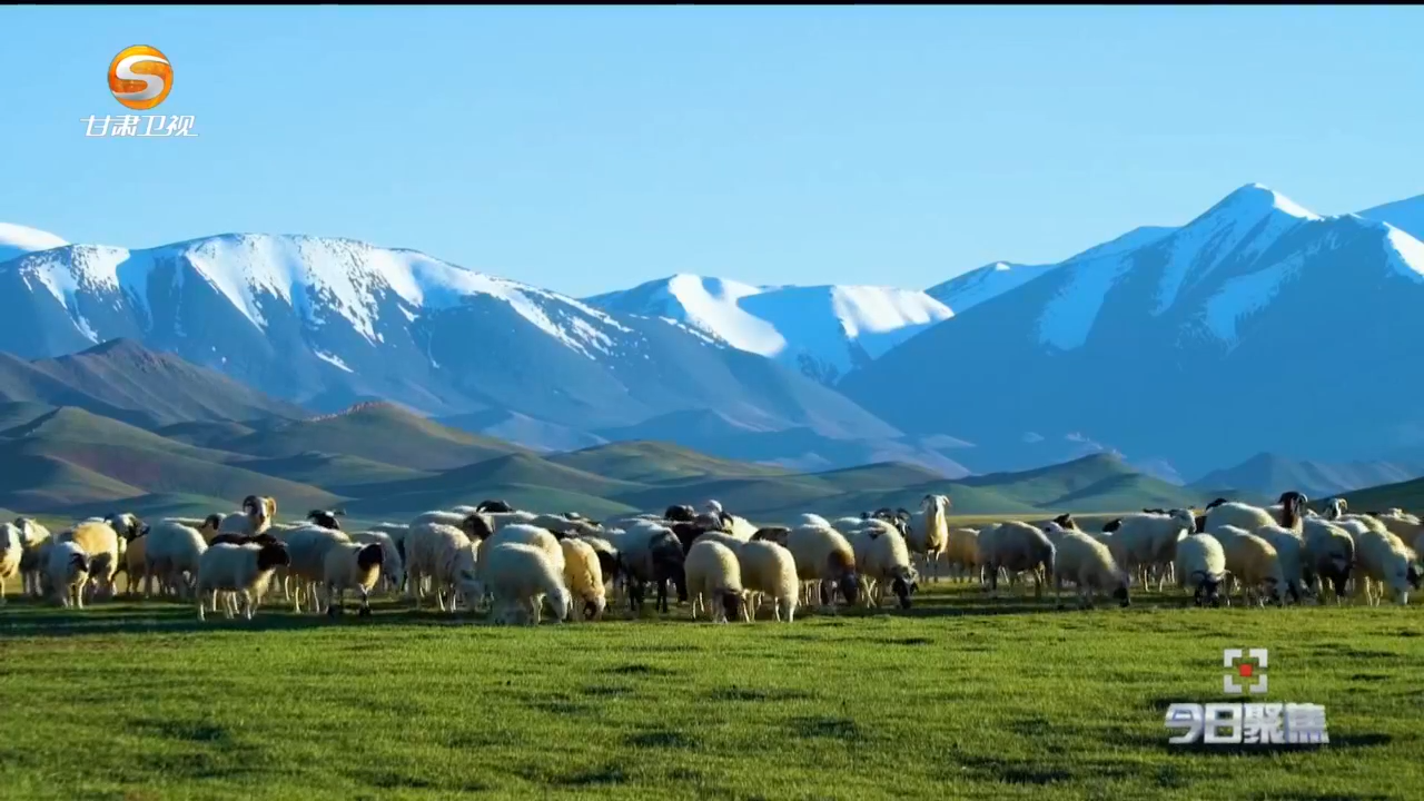何以玩转快达漫游　如意甘肃带你解锁醉心之旅