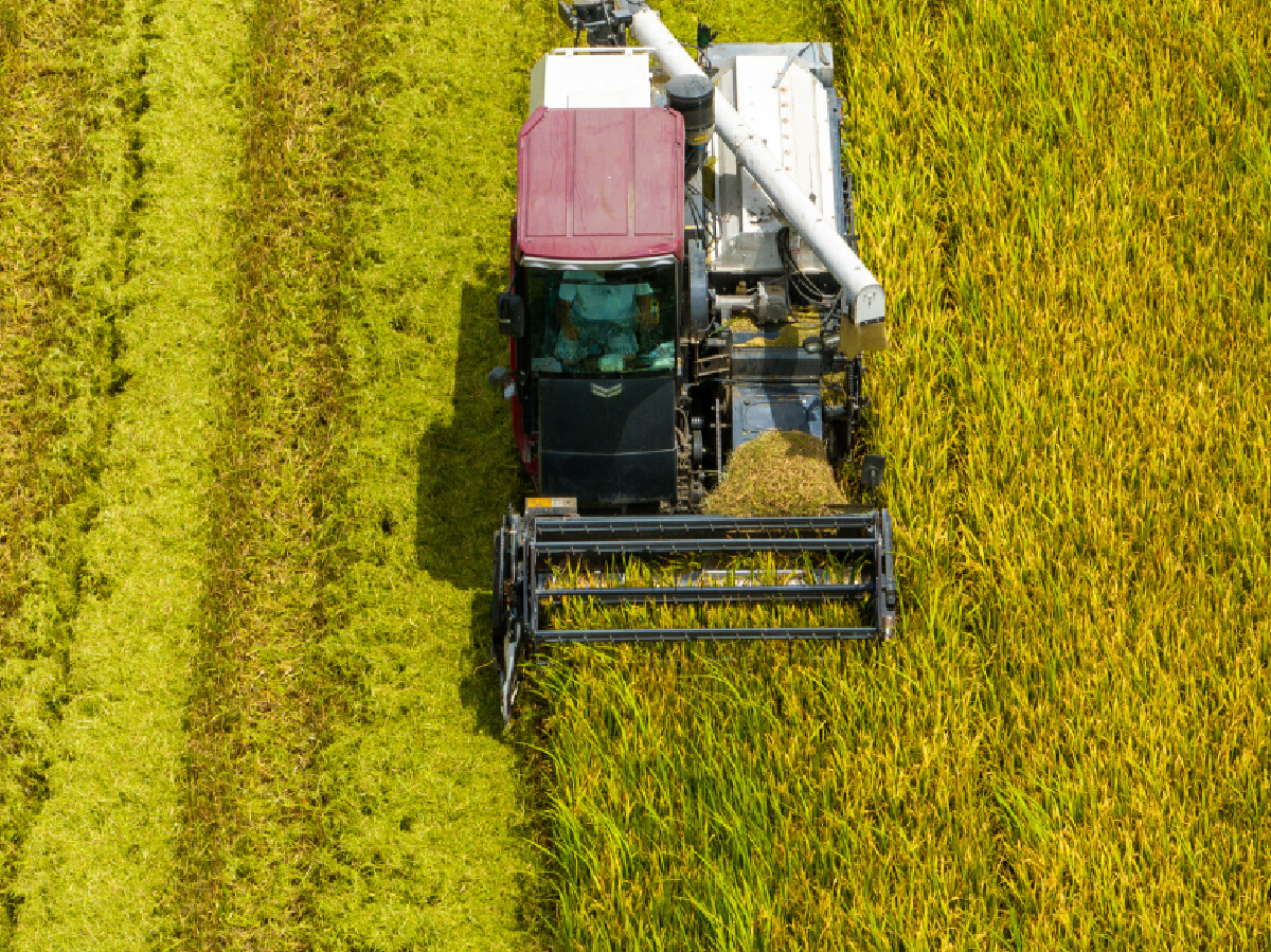 DJI_0098.jpg