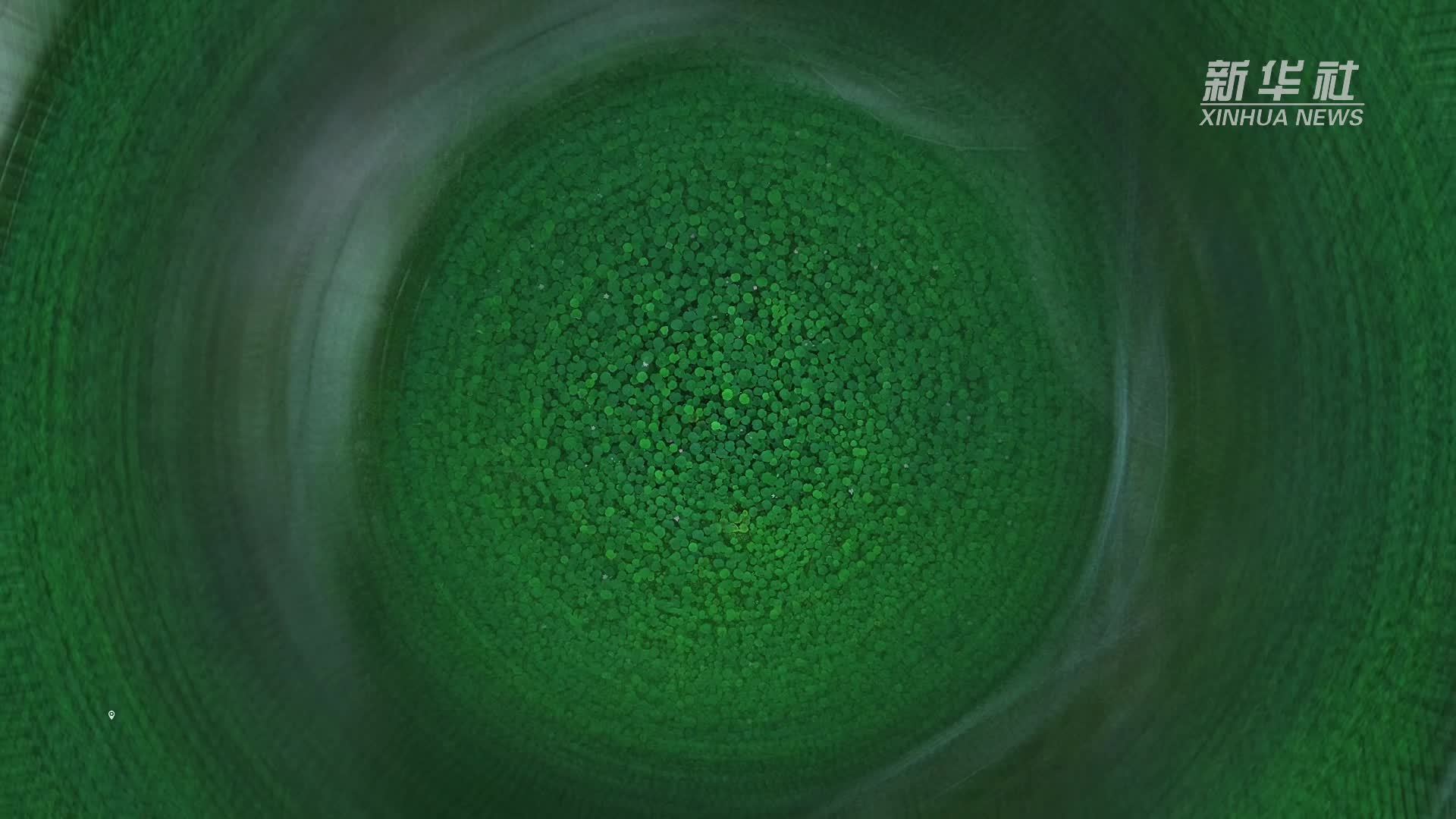 瞰中国｜福建德化：一池荷香画中来