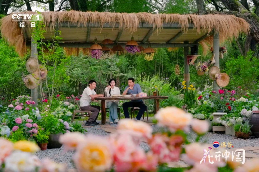 节目中“探访特色花园”环节，从细微处窥见花卉行业的欣欣向荣之态