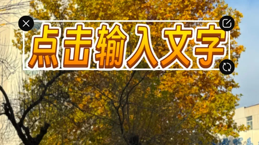 某短视频app的花字添加功能