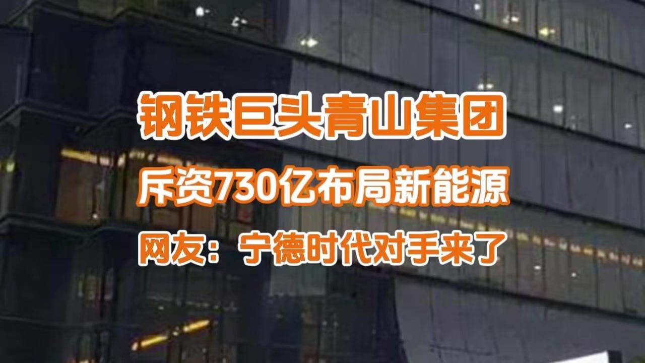 钢铁巨头青山集团斥资730亿布局新能源，网友：宁德时代对手来了