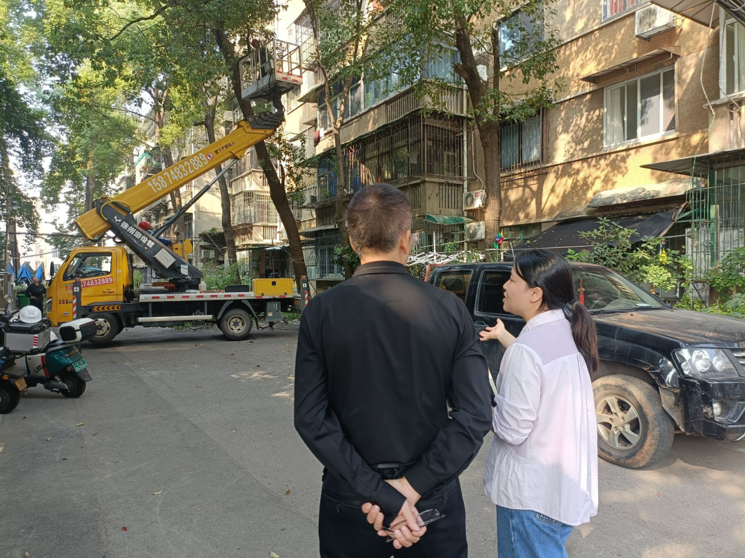 长岭片区开放式小区物业公司为小区居民修剪树枝。