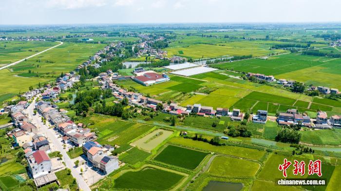 湖北有个飞虎队村