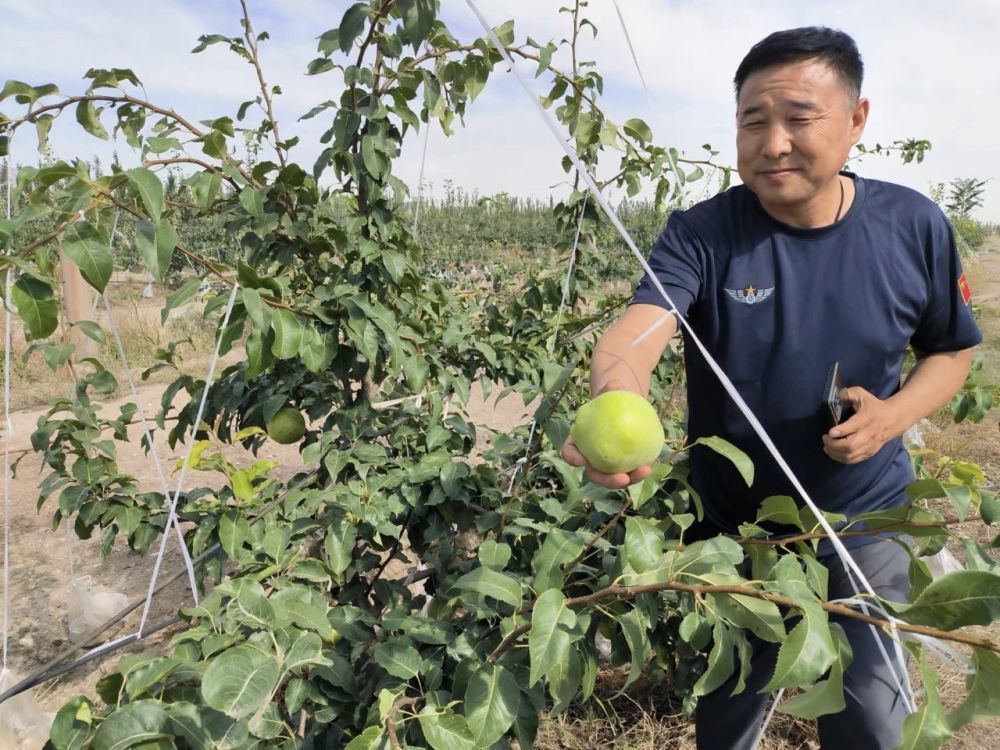 城市“牛皮癣”变后花园　看退役军人5年爆改记